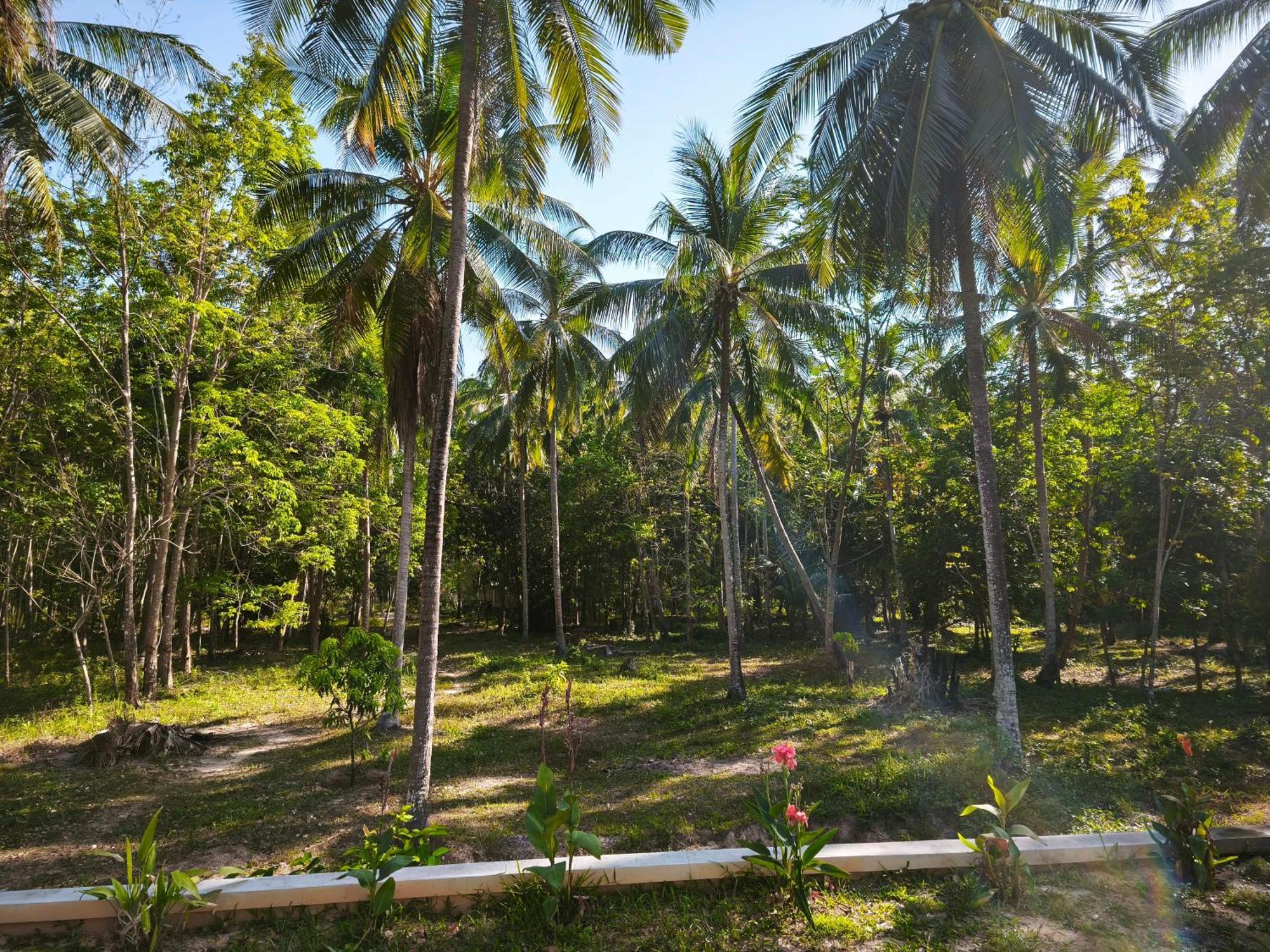 The Secret Garden Homestay Koh Yao Yai Ko Yao Dış mekan fotoğraf